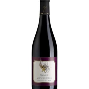 Pinot nero Magone 2019 Mottura