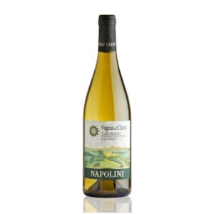 Vigna di Clara Grechetto Colli Martani 2024 Napolini