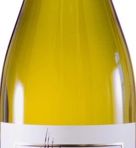 Grechetto Poggio della Costa tappo vite - Mottura