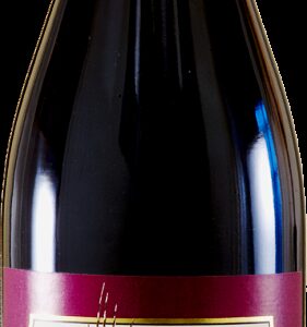 Pinot nero Magone - Mottura 2019
