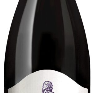 Le More Barbera d'Asti - Cascina Gilli