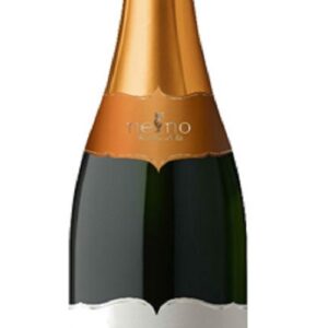 Diamicton Talento Brut metodo classico 2019 Piffer