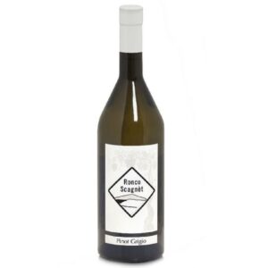 Pinot Grigio Collio 2024 Ronco Scagnet