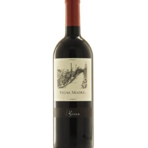Vigna Madre Piedirosso - La Sibilla