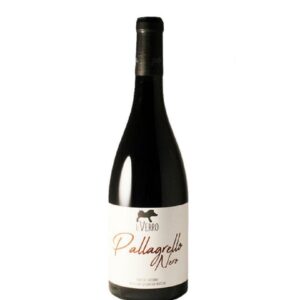 Pallagrello Nero biologico - Il Verro