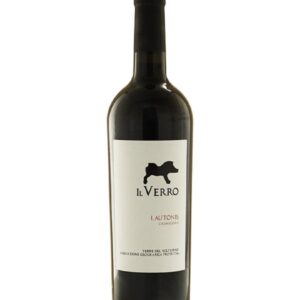 Lautonis Casavecchia 2022 Il Verro