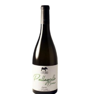 Verginiano Pallagrello Bianco 2024 Il Verro