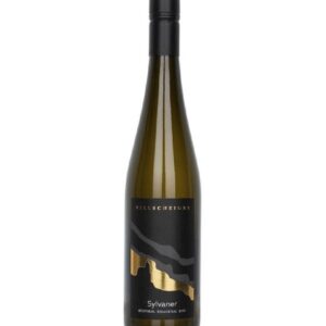 Sylvaner Valle Isarco 2023 Villscheider