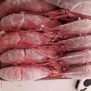 Carabineros Gambero rosso 9 pezzi - pesca 2025