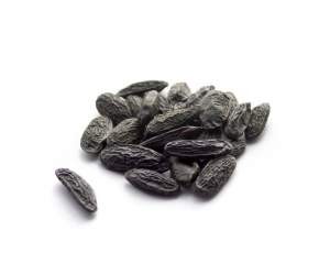 Fave di Tonka 10 gr.