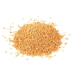 Senape gialla in grani 30 gr.