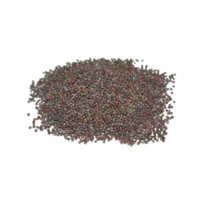 Senape nera in grani 30 gr.