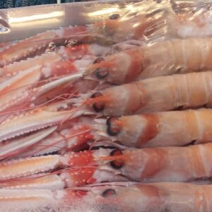 Scampi Porcupine Scozia kg 3 - pesca 2025 10/15 pezzi