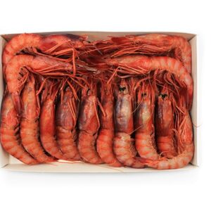 Gambero Viola 1 kg 30-40 pezzi - Gelo Mediterraneo