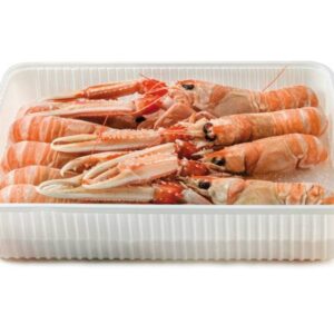 Scampo pescato Sicilia 1 kg - pezzatura 20/25 - Gelo