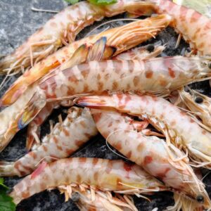 Mazzancolla Mediterraneo 750 gr - 10 pezzi pesca 2025