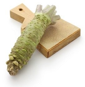 Radice di wasabi fresca 100 gr