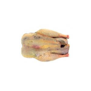 Fagiano di cacciato 800 gr - Gelo Europa