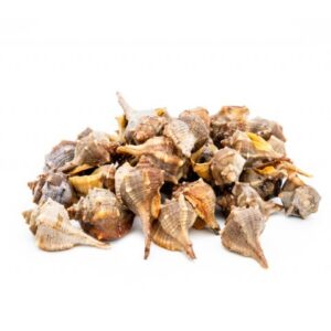 Murice spinoso 1 kg