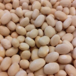 Fagioli Zolfini biologici secchi 500 gr