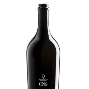 CNS Memorie di Vite 2021 Quartomoro