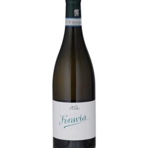 Riesling Foravia - Stella