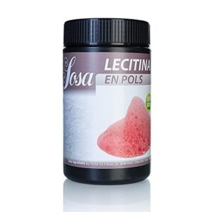 Lecitina di soia in polvere 500 gr