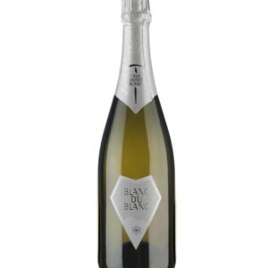 Blanc du blanc Brut 2020 Blanc de morgex et della Salle