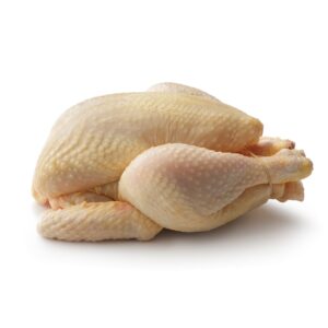 Pollastro a busto 1,4 kg