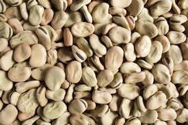 Fave secche biologiche 1 kg