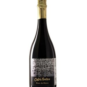 Blanc del Blancs Trento Dosage Zero - Castel Noarna N.V.