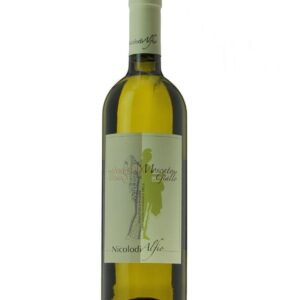 Moscato Giallo secco 2021 Alfio Nicolodi