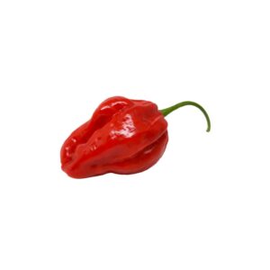 Peperoncino Habanero fresco 100 gr