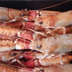 Scampi 3-7 pezzi per Kg pescato Islanda kg 1.35