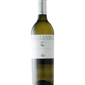Selezione Verdicchio di Matelica 2024 Gagliardi