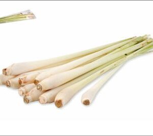 Lemon grass radice fresca 200 gr