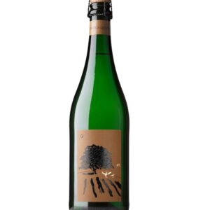 Q frizzante macerato Colfondo 2024 L'Antica Quercia