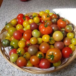 Pomodorini colarati 2 kg ciliegino e datterino