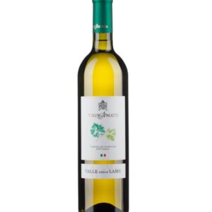Terre delle Lame Verdicchio di Jesi classico - Vignamato