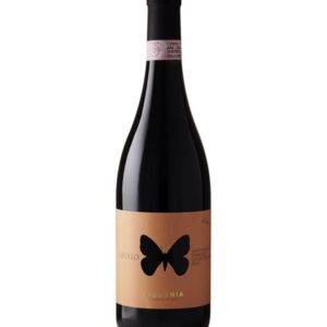 Montepulciano di Abruzzo Colline Termane Apollo 2022 Ausonia
