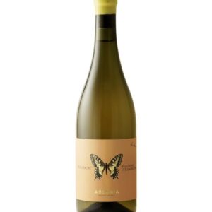 Anfora Machaon Pecorino Colli Aprutini BIO 2023 Ausonia