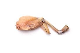 Supreme di rana pescato 400 gr - gelo
