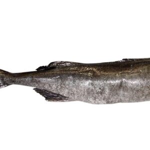 Carbonaro d'Alaska Black code 2 kg - gelo