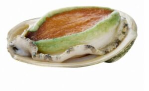Abalone o Greenlip Australiano 1 kg - gelo