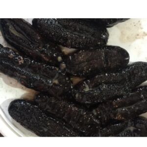 Cetriolo di mare 500 gr - Gelo