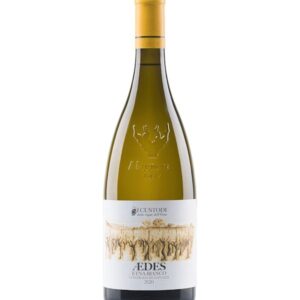 Etna bianco Edes 2024 Custodi vigne Etna