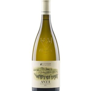 Etna Bianco Ante 2021 Custodi delle Vigne