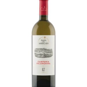 Falanghina Irpinia 2024 Tenuta del Meriggio