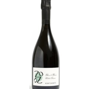 Blanc de Blancs Pignoletto Brut - Ventiventi