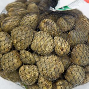 Tartufo o Noce di mare 1 kg